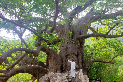 Salalah East Hidden Gems Tour