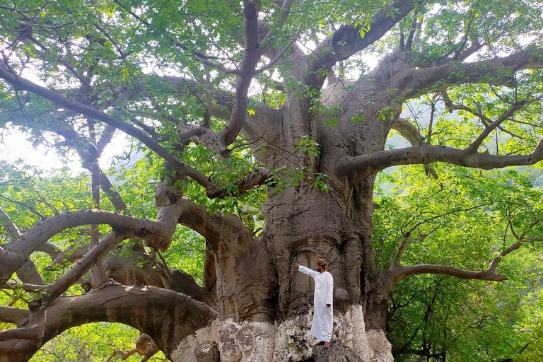 Salalah East Hidden Gems Tour
