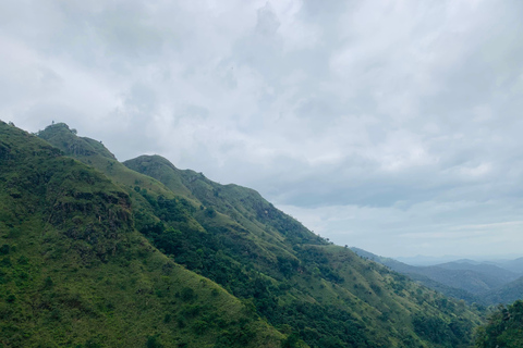 Visite multijours au Sri LankaVisites multijours et visites à la journée