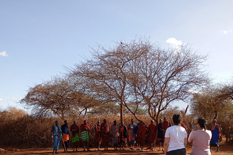 Nairobi: Escursione di un giorno al Parco Nazionale di Amboseli con pranzoEscursione di un giorno al Parco Nazionale di Amboseli da Nairobi