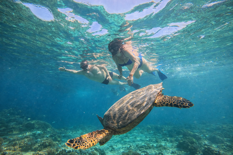 Gili Trawangan: Dolphin Watching and Private Snorkeling Tour