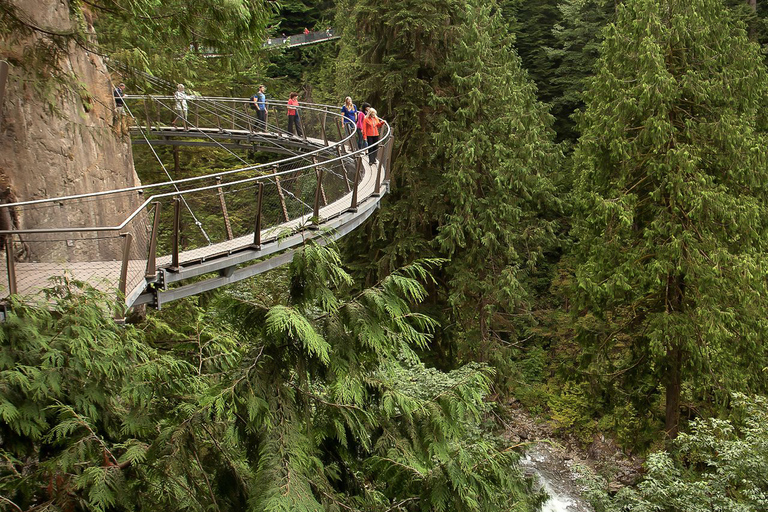 Depuis Vancouver : Pont suspendu de Capilano et Grouse MountainNorth Shore : départ à 11:00