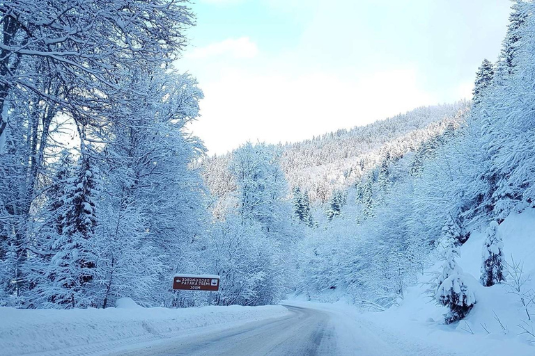 Tbilisi: Borjomi and Bakuriani Day Trip with Guide