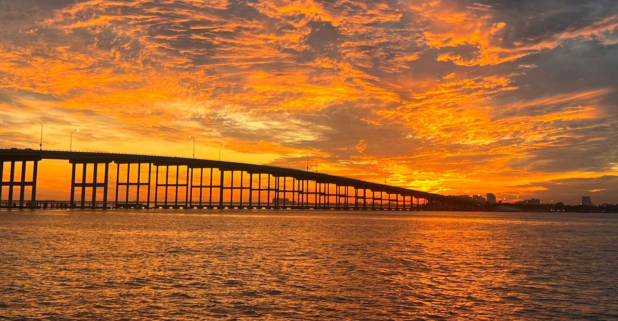 Miami: Exclusive Private Boat Guided Tour photo 14