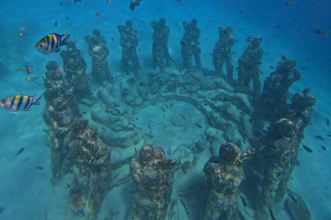 Snorkeling Trip Gili Trawangan Private Glass Bottom Boat