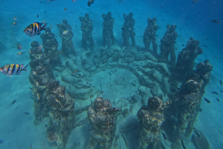 Snorkeling Trip Gili Trawangan Private Glass Bottom Boat