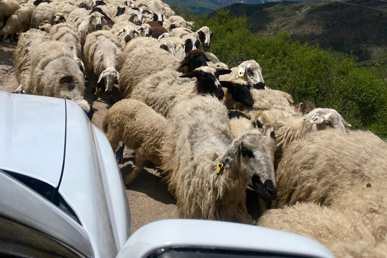 From Yerevan: Lake Sevan, Yazidi Villages & Molokan Tour