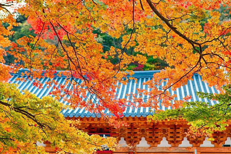 Naejangsan: Hoogtepunt van een Koreaanse herfst dagtrip vanuit SeoulRetourvlucht vanaf Myeongdong Station Exit 3