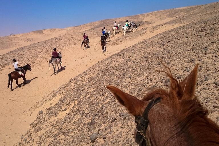 Desde Hurghada: Excursión a Caballo por la Bahía de Makadi