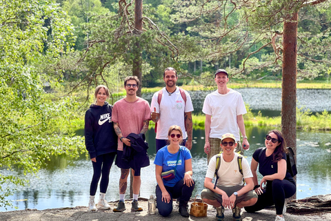 从赫尔辛基出发：努克西奥国家公园的迷人下午