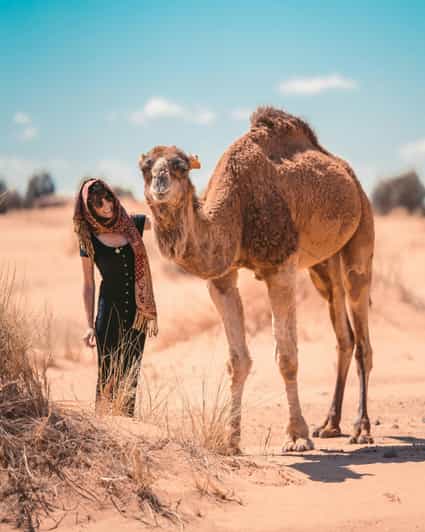 2 jours : Aventure de luxe dans le désert de Fès à Merzouga - dromadaire