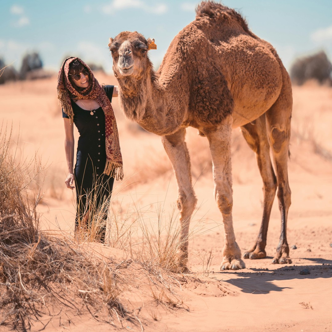 2 jours : Aventure de luxe dans le désert de Fès à Merzouga - dromadaire