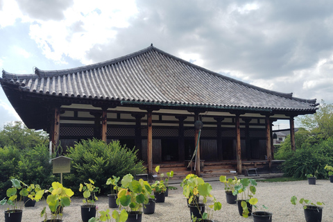 Nara: Templo Gangoji, Patrimonio de la Humanidad, y casco antiguo de Naramachi