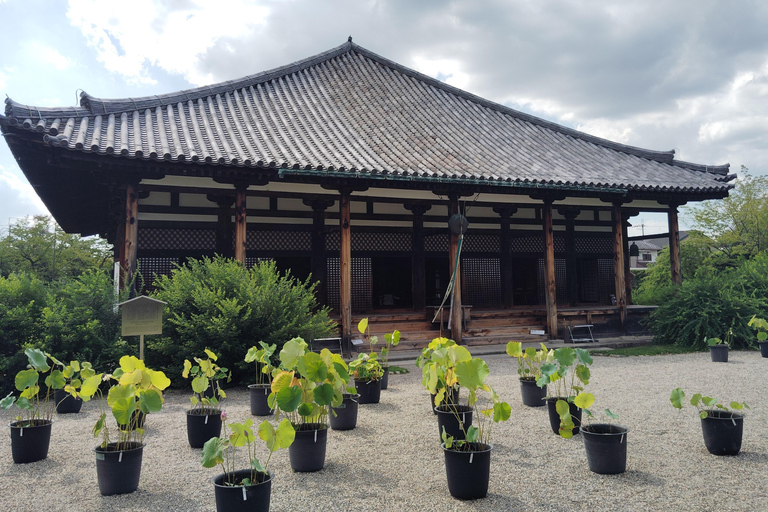 Nara: Templo Gangoji, Patrimonio de la Humanidad, y casco antiguo de Naramachi