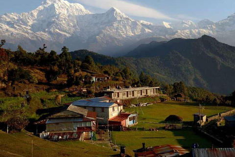Pokhara: Small Group Day Hike to Australian Camp