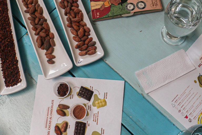 Bogotá: Chocolate de la Paz Tasting Experience