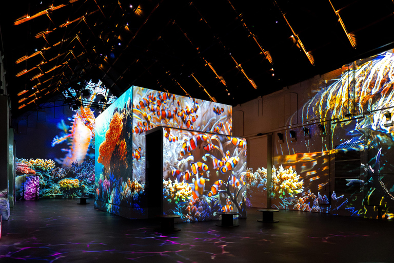 Amsterdam: Fabrique des Lumières De Zee Toegangsbewijs