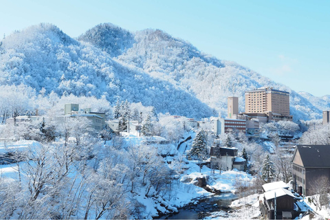 Sopporo: Hokkaido Shrine and Atama Daibutsu Full-Day Tour