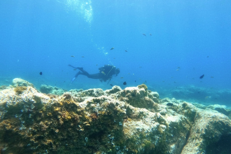 Tenerife: duiken voor gecertificeerde duikers