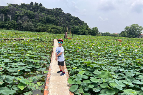 Depuis Hanoi : Ninh Binh - Trang An - Grottes de Mua - Déjeuner et busAu départ de Hanoi : Découvrez la beauté de Ninh Binh - Excursion d&#039;une journée