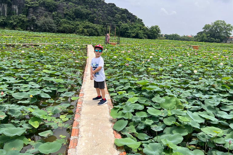 Depuis Hanoi : Ninh Binh - Trang An - Grottes de Mua - Déjeuner et busAu départ de Hanoi : Découvrez la beauté de Ninh Binh - Excursion d&#039;une journée