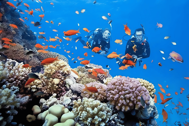 Från Da Nang/ Hoi An: Chamöarna &amp; snorkling eller dykningGruppresa