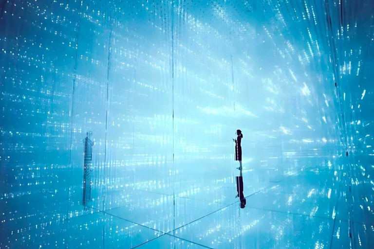 Tokyo: Private Tour: TeamLab, Pokémon & Skytree Customized B itinerary full day customizable Tokyo sightseeing.