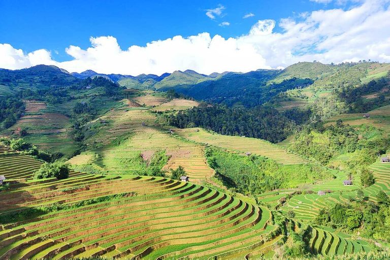 From Hanoi: Visit Sapa 3 Days & See The Terraced Fields Group Tour With A 4-Star Hotel
