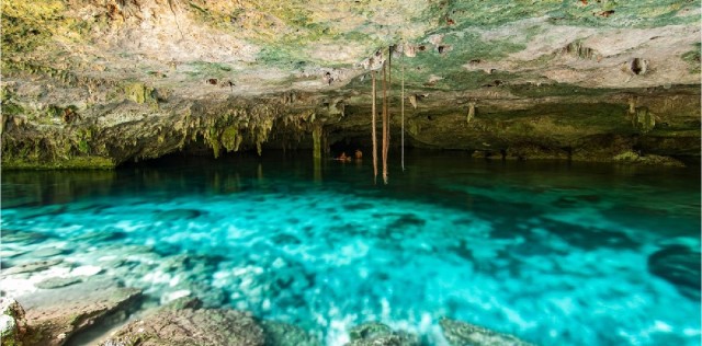 Riviera Maya: Snorkel Cenotes