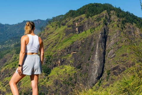 Bentota/Mirissa/Hiriketiya/Tangalle: Ella Scenic Day Tour Udawalawe Elephant Transit Home & Ella Day Tour