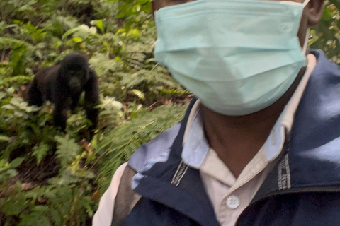 Viagem de 1 dia ao Ruanda, Uganda e Congo (RDC) para fazeres um trekking aos gorilas