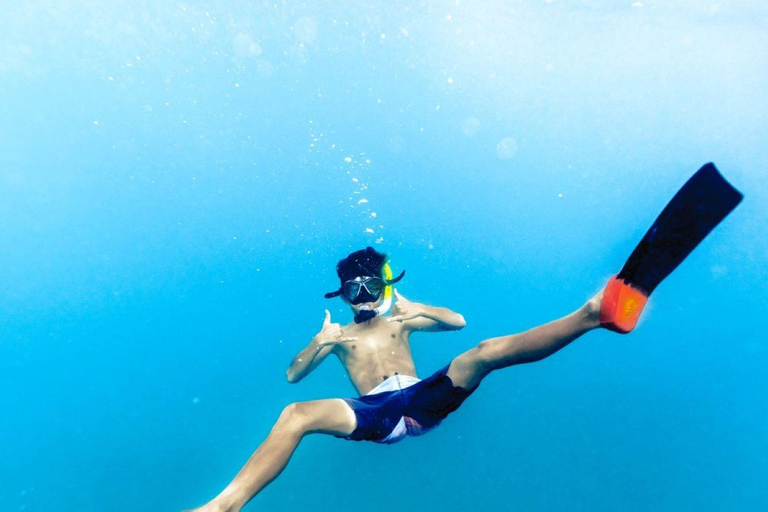 Waikiki Exclusive Snorkel + Lunch