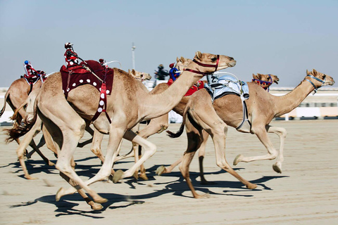 Doha: Museo del Jeque Faisal y Circuito de Carreras de Camellos de Shahaniya