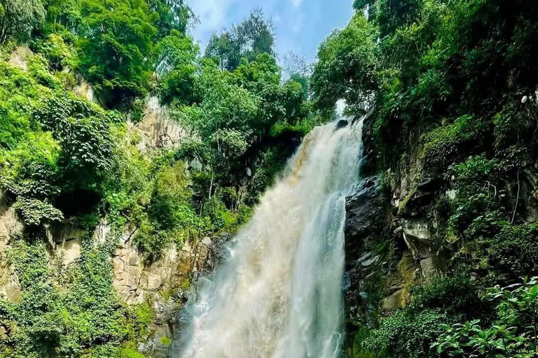 Addis Ababa: Entoto Forest, Villages, and Lunch Tour