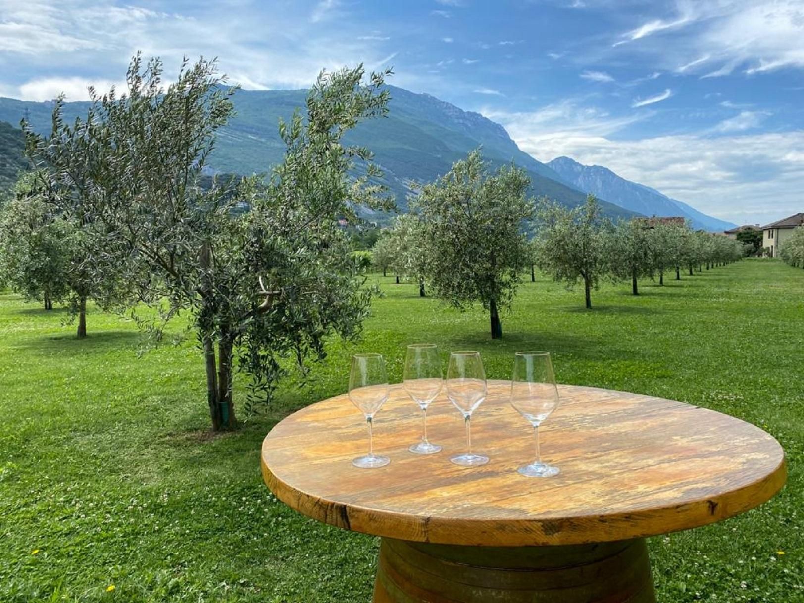 Gardasee: Weinkellerbesuch mit Wein- und Olivenölverkostung