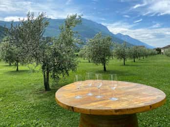 Gardasee: Weinkellerbesuch mit Wein- und Olivenölverkostung