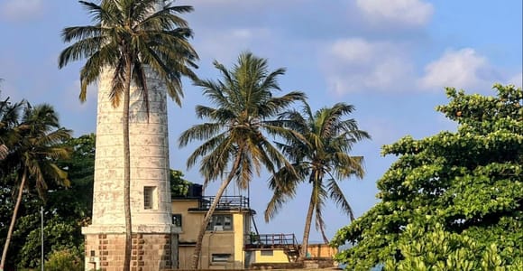 Galle Private Day Tour - River Safari, Turtle Hatchery