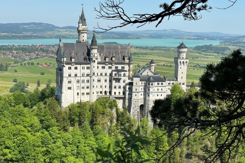 Private Schloss Neuschwanstein Tour im Mercedes Van (1-6 Personen)