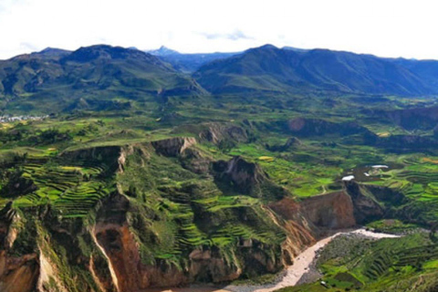 Aventure de 2 jours dans le Canyon de Colca depuis Arequipa + Hôtel