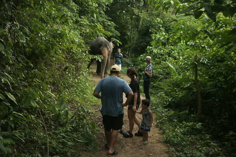 Phuket Elephant Nature Reserve - Halve dag olifantenavontuur