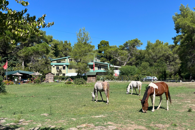 تيرانا: رحلة ليوم واحد إلى أبولونيا وبحيرة كارافاستا مع الغداء