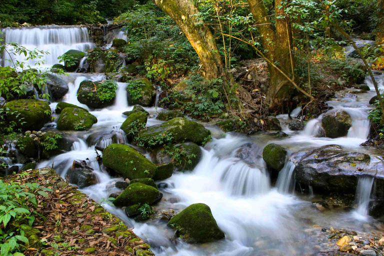 Caminhada no Parque Nacional Shivapuri - Caminhada panorâmica de um dia