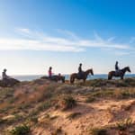 Alghero: passeggiata guidata a cavallo al lago di Baratz e a Porto Ferro