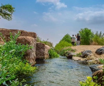 Yanbu: Guided Tour in The City of Springs