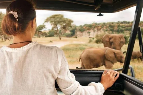 Pilanesberg: Two-Day Camping Adventure from Johannesburg