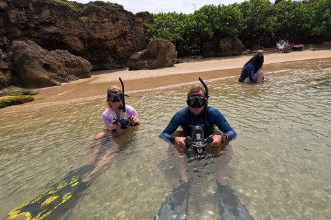 West Palm Beach: Nybörjare Jet Snorkel Tour med videor