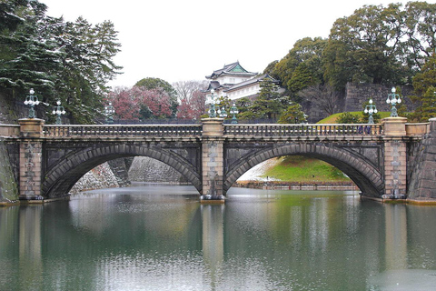 From Osaka: 5-Day Japan Highlights Tour to Tokyo
