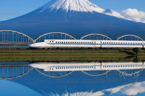 From Tokyo : Mount Fuji Private Day Trip with Hotel Pickup Mount Fuji & Hakone Customize Tour With English Guide