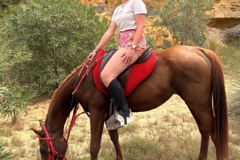 Hammamet: Combo Horse and Camel Ride in Nature Hammamamet: Combo Horse and Camel Ride in Nature