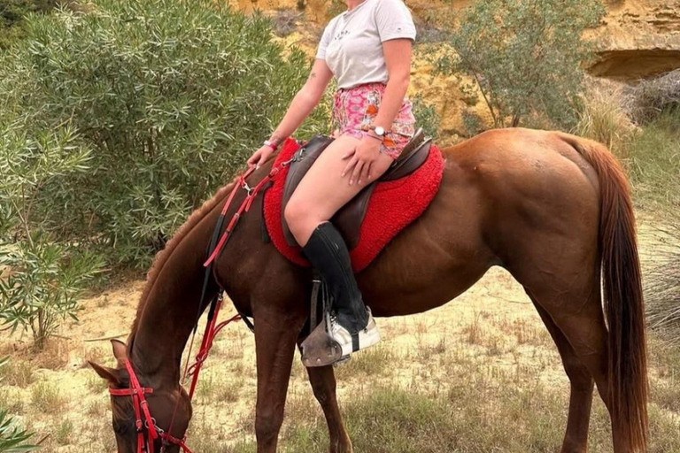 Hammamet: Combo Horse and Camel Ride in Nature Hammamamet: Combo Horse and Camel Ride in Nature